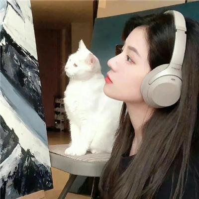 小叮当与海盗仙子